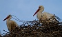 IMG_9869-2