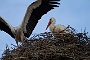 IMG_9873-2