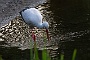 IMG_9886-2