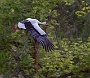 IMG_9892-2