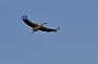 IMG_9894-2