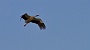IMG_9895-2
