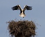 IMG_9903-2