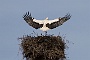 IMG_9904-2
