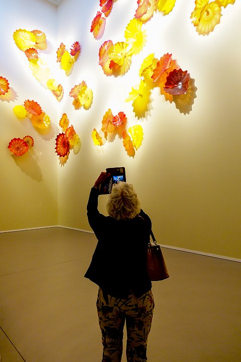 024  DSC09870-2.jpg