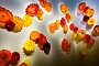025  DSC09871-2