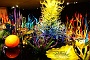 032  DSC09884