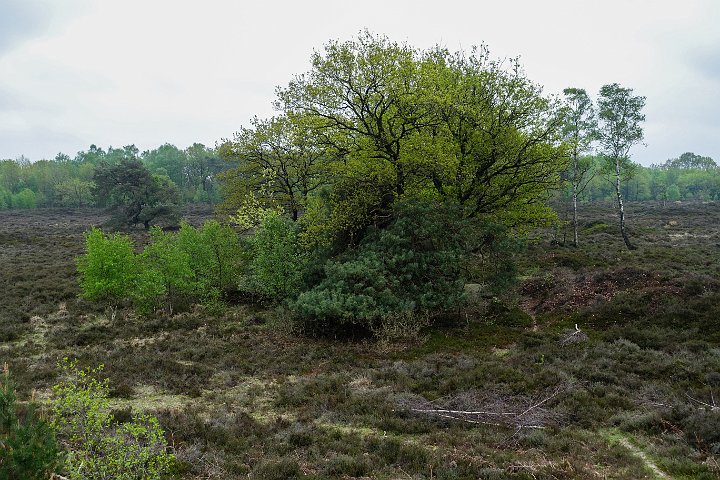 071b DSC00021-2.jpg