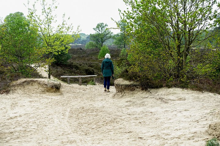 071c DSC00020-2.jpg