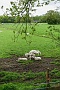 065  DSC09962-2