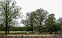 067  DSC09967-2