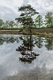 069  DSC09972-2