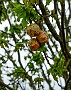 071a DSC00022-2