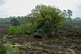 071b DSC00021-2