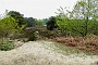 071d DSC00019-2