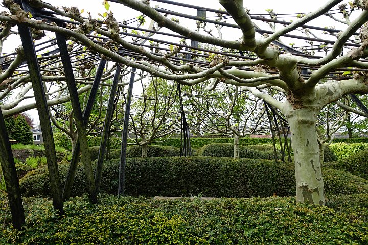 100  DSC00045.JPG