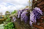 107  DSC00051