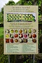 110  DSC00054