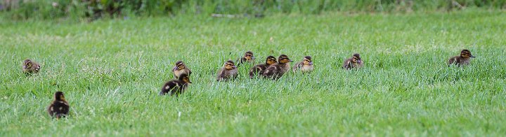 120  IMG_5201.jpg