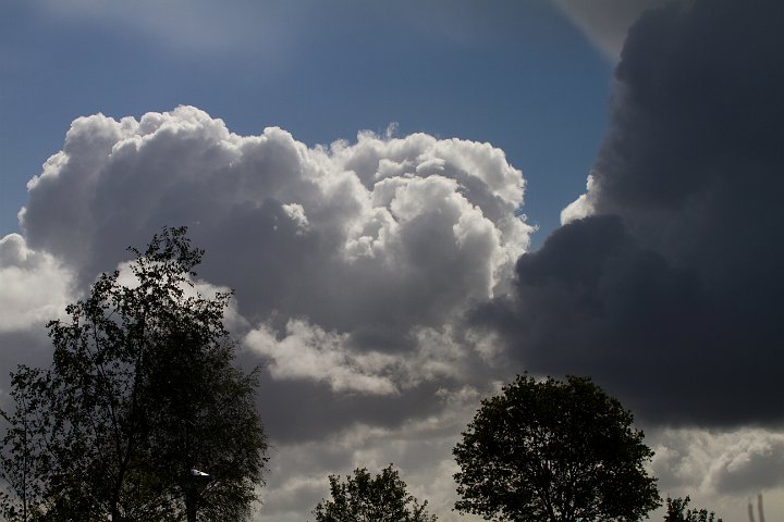 136  IMG_5296.jpg