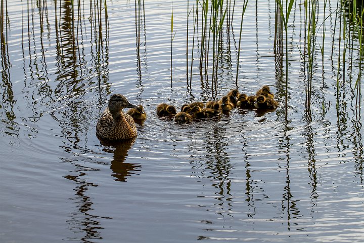 140  IMG_5318.jpg