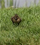 122  IMG_5238-2
