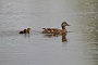 124  IMG_5224