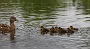 125  IMG_5228