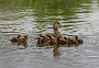 126  IMG_5230