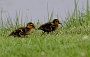 128  IMG_5245-2