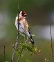 130  IMG_5256