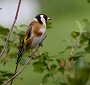 134  IMG_5283