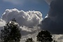 136  IMG_5296
