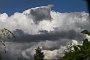 137  IMG_5302