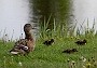 138  IMG_5305