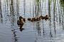 140  IMG_5318