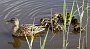 141  IMG_5324