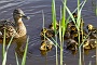 142  IMG_5326