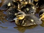143  IMG_5329