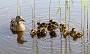 144  IMG_5331