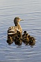 145  IMG_5336-2