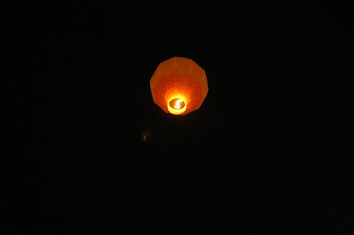 IMG_1479.JPG