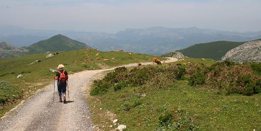 IMG_1530.jpg