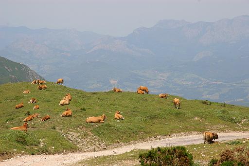 IMG_1531.jpg