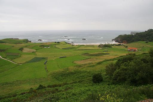 IMG_1543.jpg