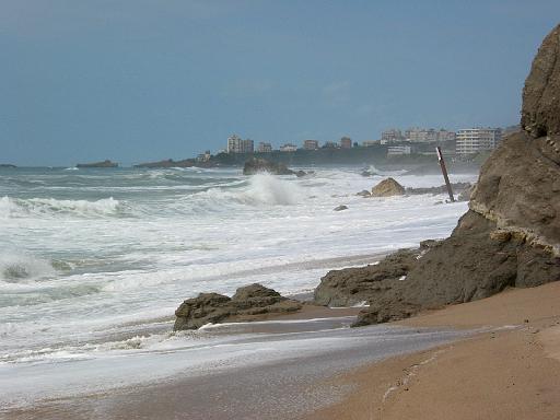 IMG_1575.jpg
