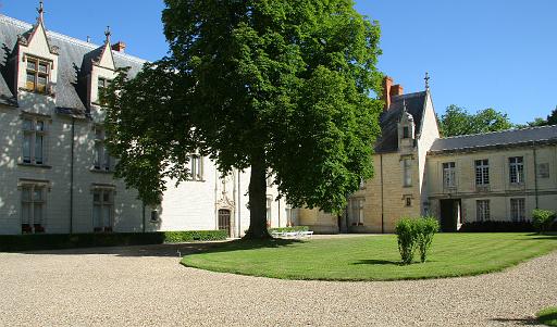 IMG_1600.jpg