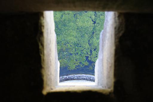 IMG_1615.jpg