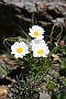 0315margrieten