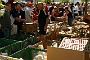 0355dierenmarkt